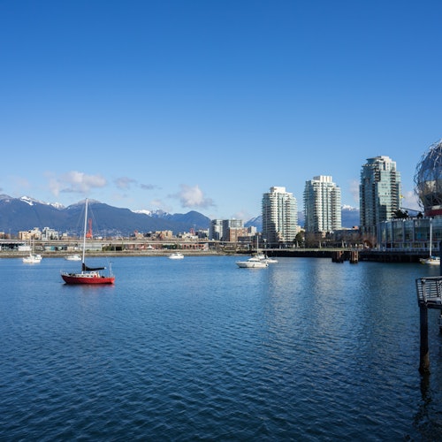Vancouver: Guided Bus Tour, Lookout Tower Entry & Stanley Park Walking Tour — gallery 3