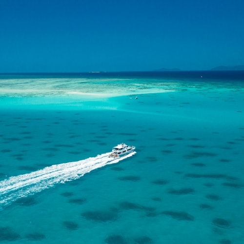 Ocean Freedom Great Barrier Reef Tour — gallery 5