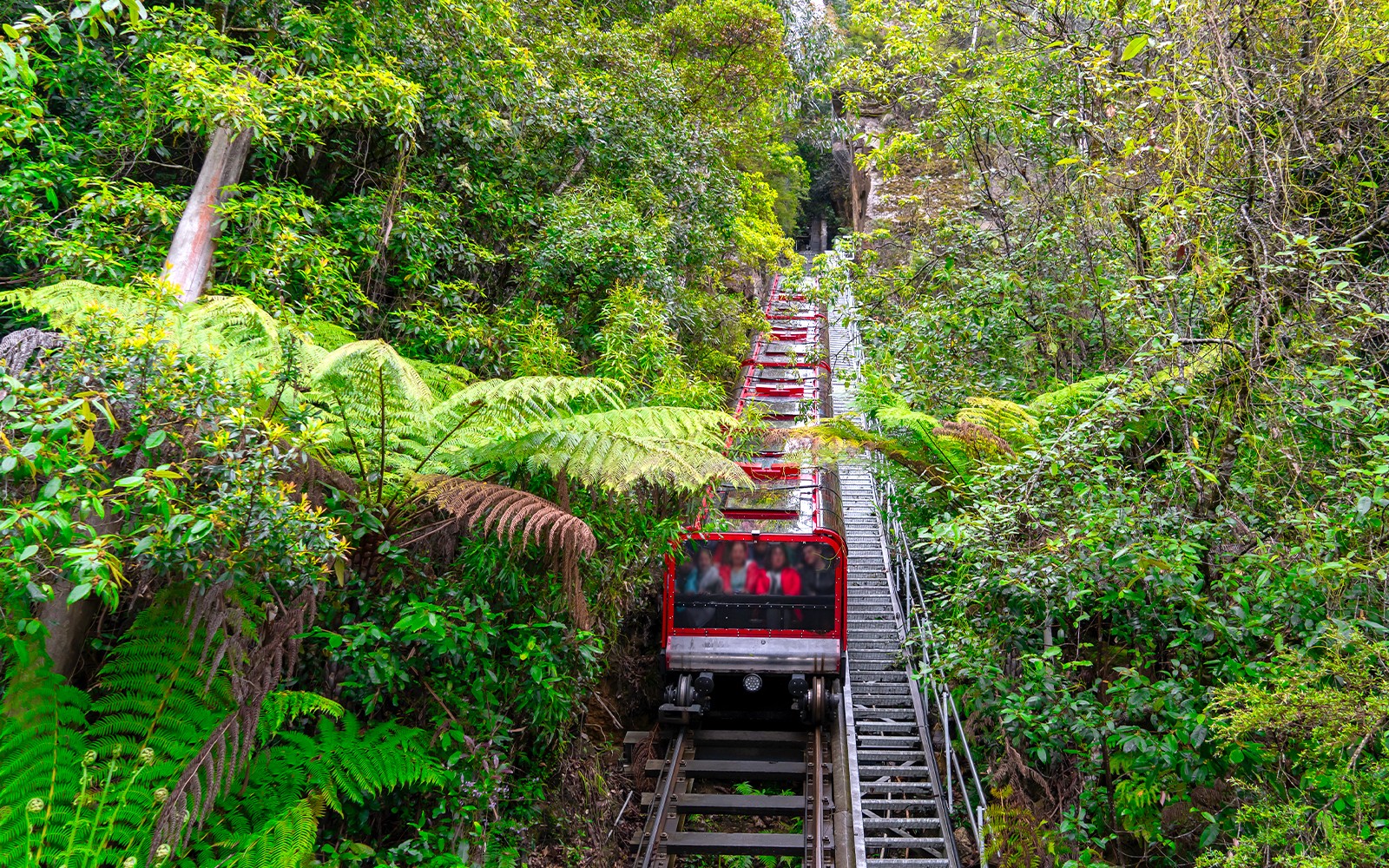 Blue Mountains Hop-On Hop-Off Bus Tour with Optional Scenic World Pass — gallery 2