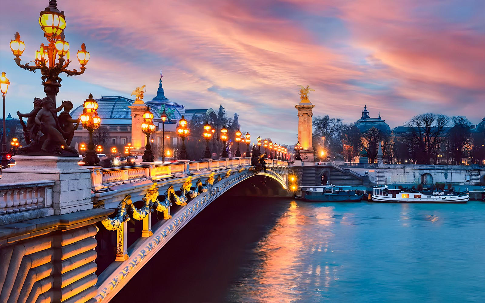 Le Diamant Bleu Gourmet Meal with Seine River Cruise — gallery 4