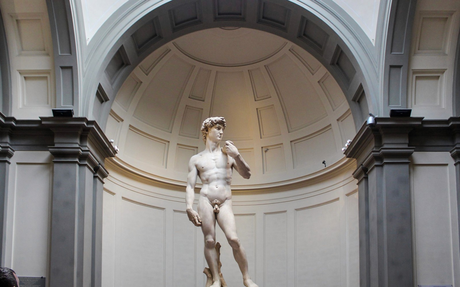 Accademia Gallery Hosted Timed Entry Tickets — gallery 1