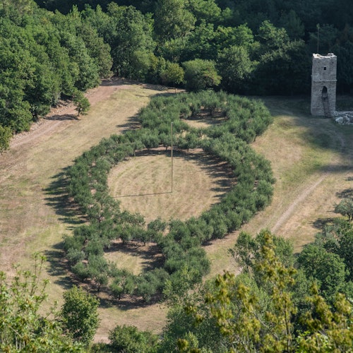 Bosco di San Francesco: Entry Ticket — gallery 2