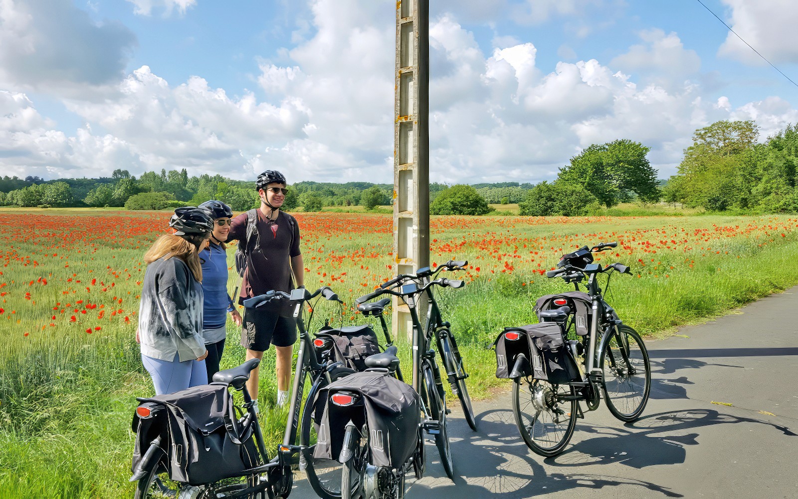 From Tours or Amboise: Chambord E-bike Guided Tour — gallery 5