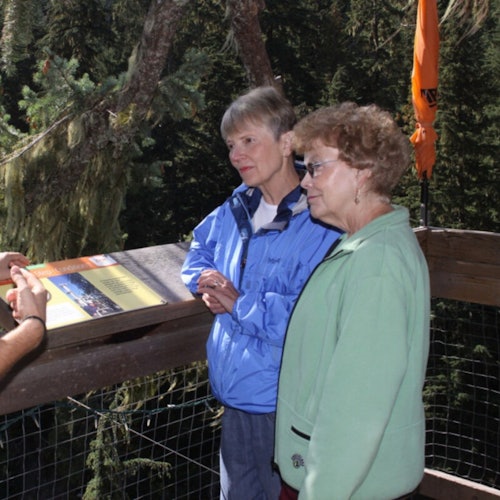 Whistler ZipTrek Ecotours: TreeTrek Adventure — gallery 3