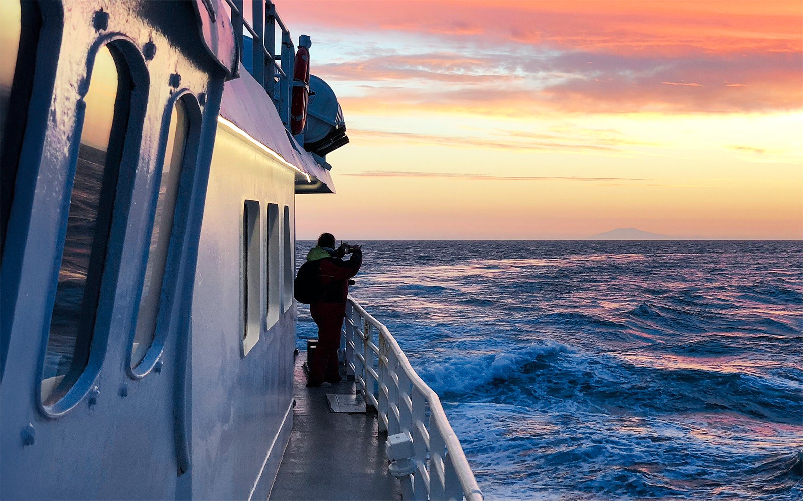 From Reykjavik: Midnight Sun Whale Watching Tour — gallery 1