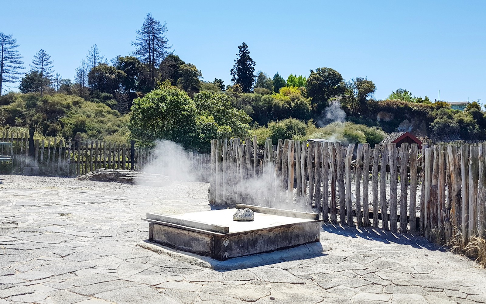 Whakarewarewa Living Maori Village Guided Tour — gallery 1
