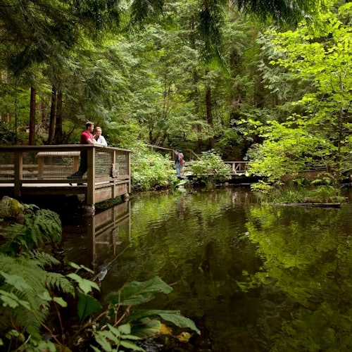 Vancouver: Capilano Suspension Bridge Park & City Tour — gallery 5