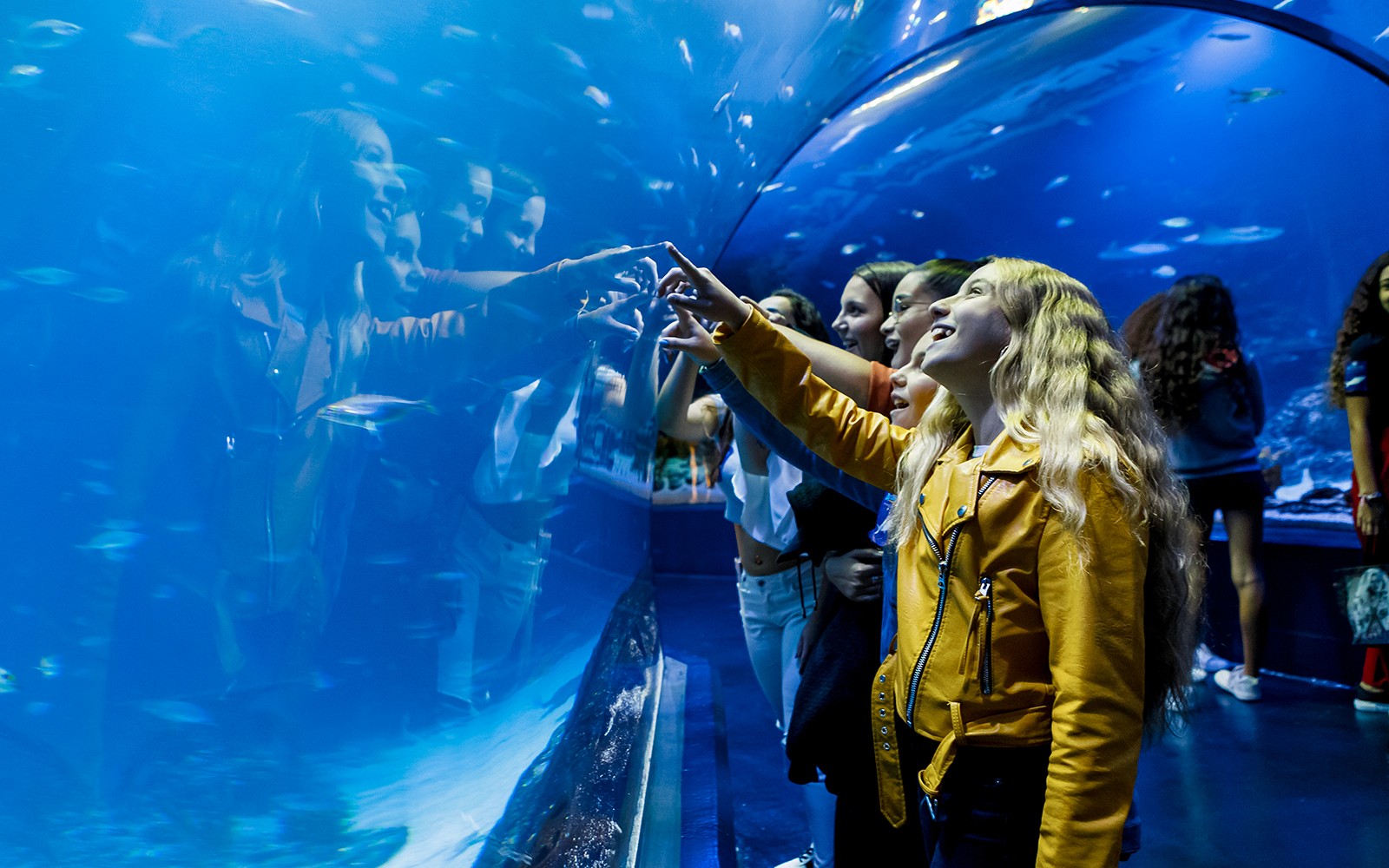 Atlantis Aquarium Madrid Tickets — gallery 1