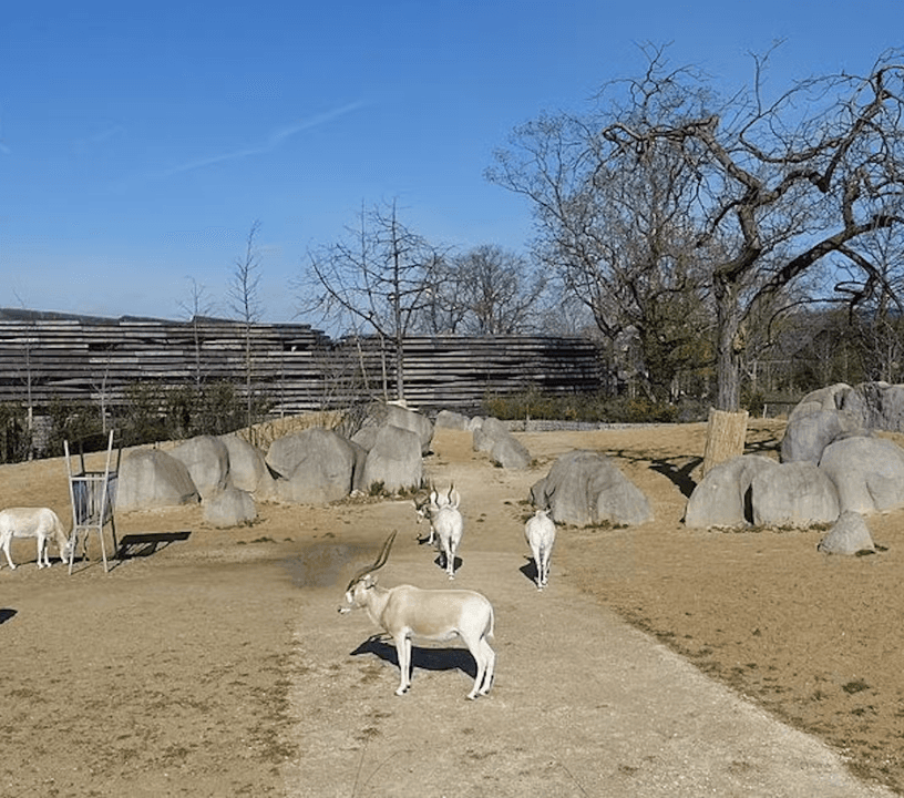 Paris Zoological Park: Entry Ticket