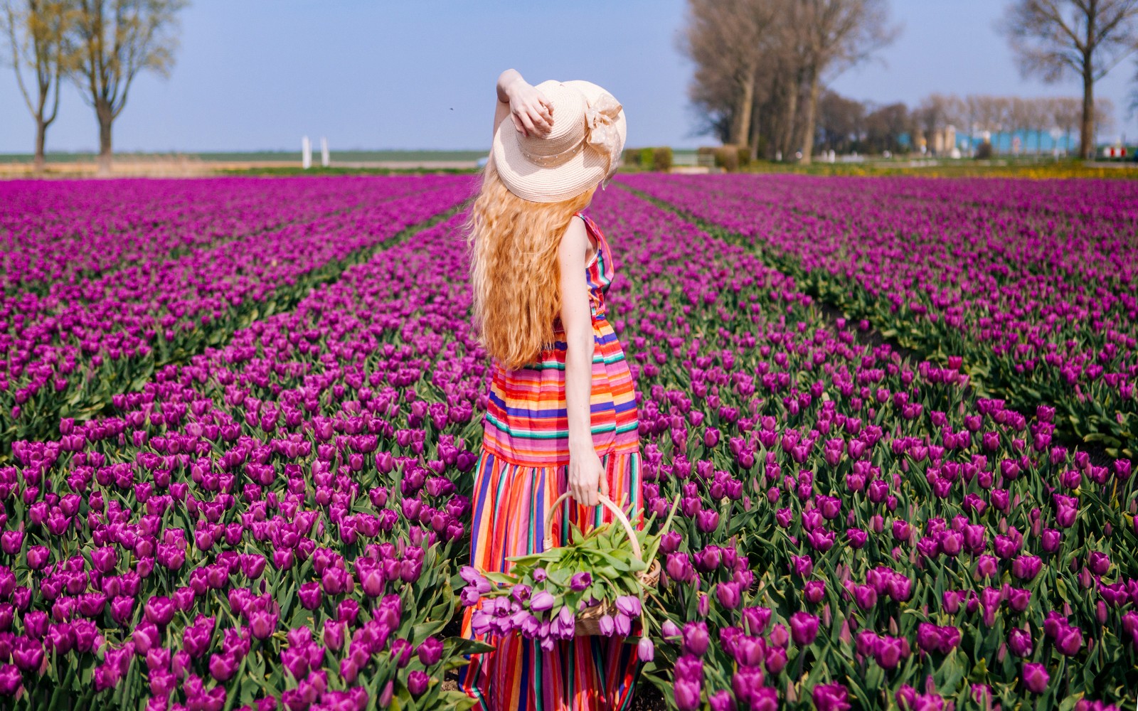 Keukenhof Parking Tickets

