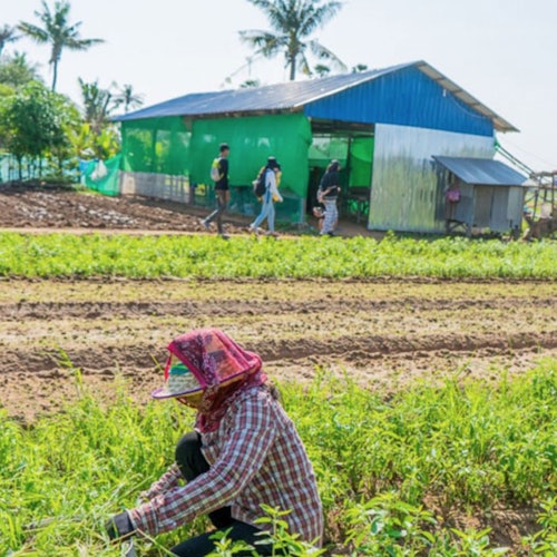 Siem Reap Cycling and Culinary Adventure — gallery 2