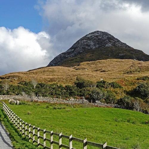 Galway to Connemara National Park and Diamond Hill Full Day Tour — gallery 2