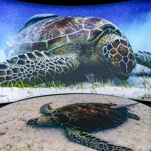 Aquarium of the Pacific: Membership Voucher — gallery 1
