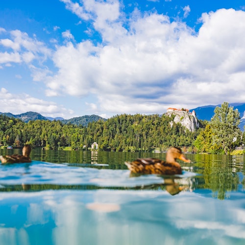 Lake Bled, Postojna Cave & Predjama Castle: Full Day Tour from Ljubljana — gallery 1