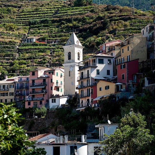 Cinque Terre: Day Trip from Florence + Boat Tour + Optional Hiking — gallery 4