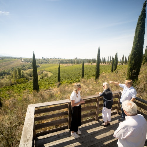 Corte Pavone Winery Estate: Picnic with Wine & Food + Vineyard Guided Tour