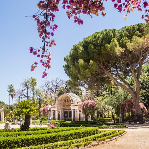 Palermo Botanical Garden: Entry Ticket — gallery 1