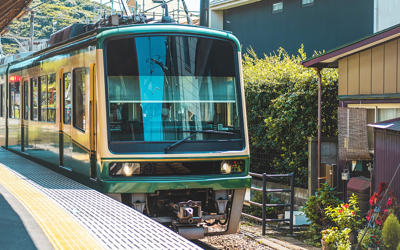 From Tokyo: Kamakura & Hasedera Day Trip with Kotoku In Temple, Enoshima, Enoden Train, & More