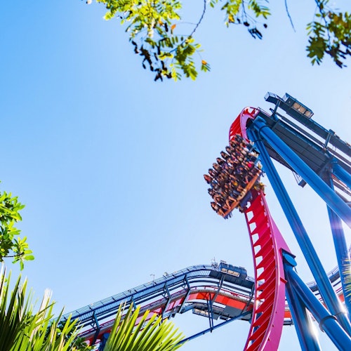 Busch Gardens Tampa: Entry Ticket with Optional Quick Queue — gallery 4