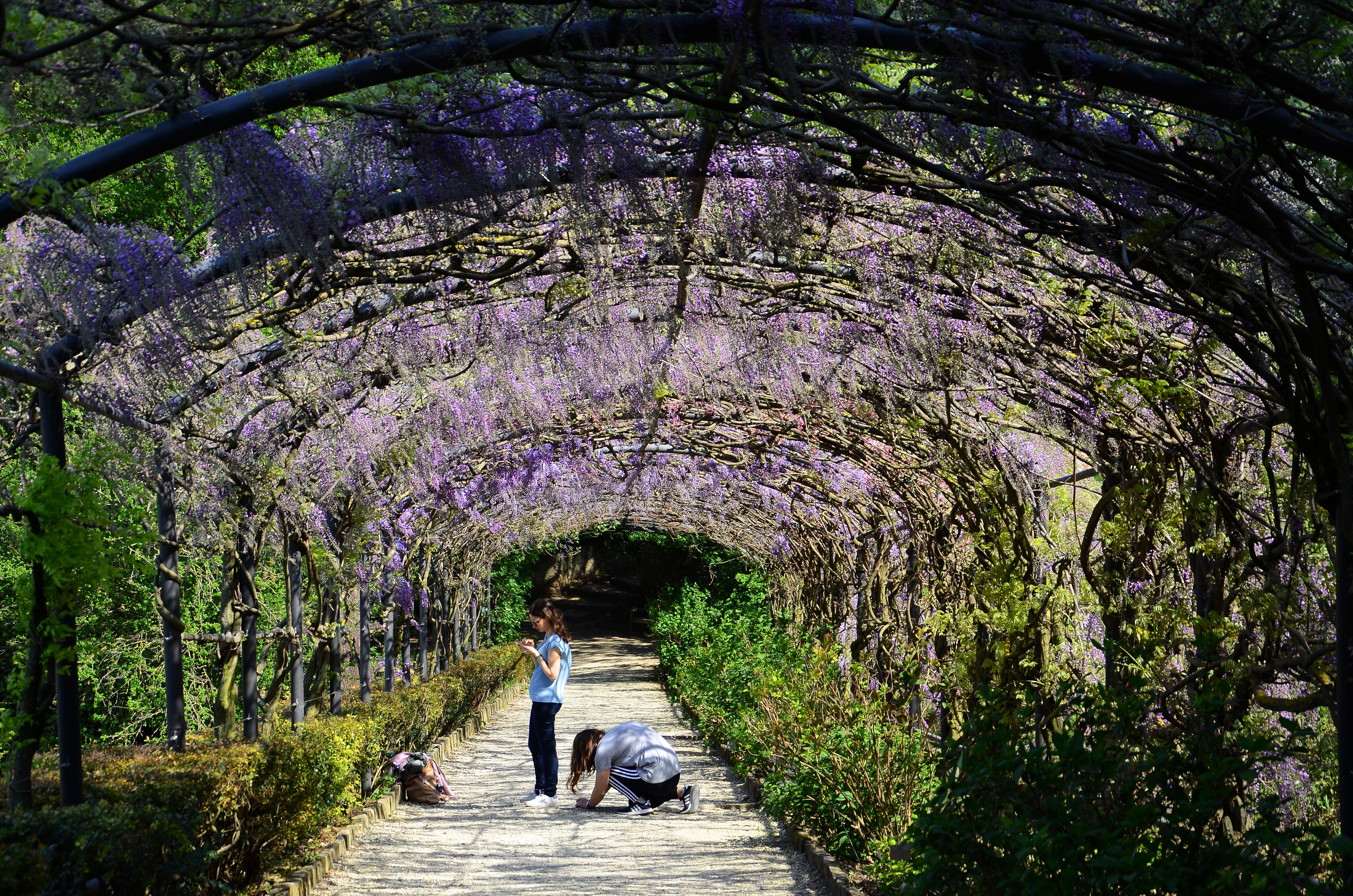 Boboli Gardens Guided Tour