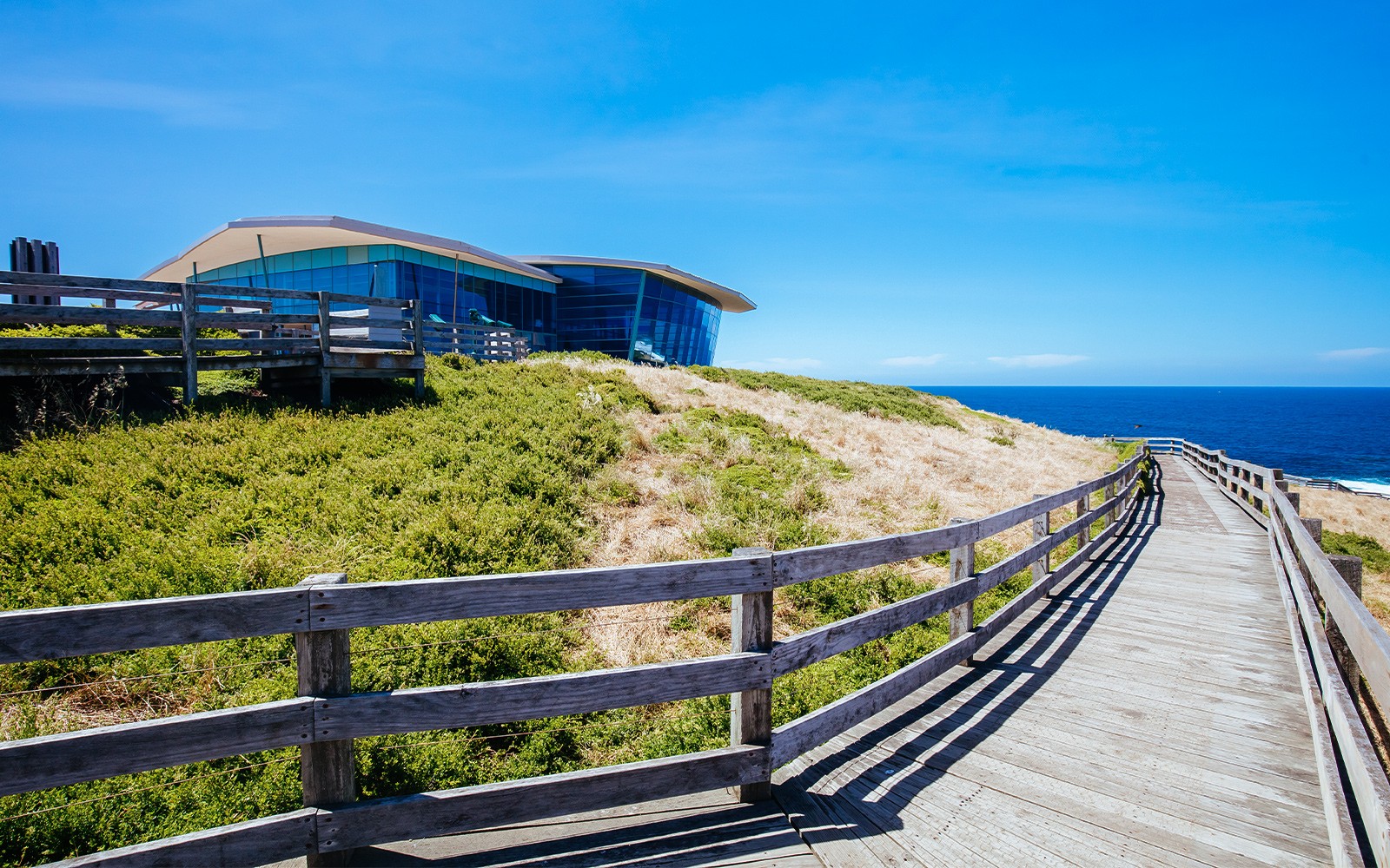 From Melbourne: Full-Day Guided Tour of Phillip Island Wildlife with Penguin Parade & Brighton Beach Boxes 