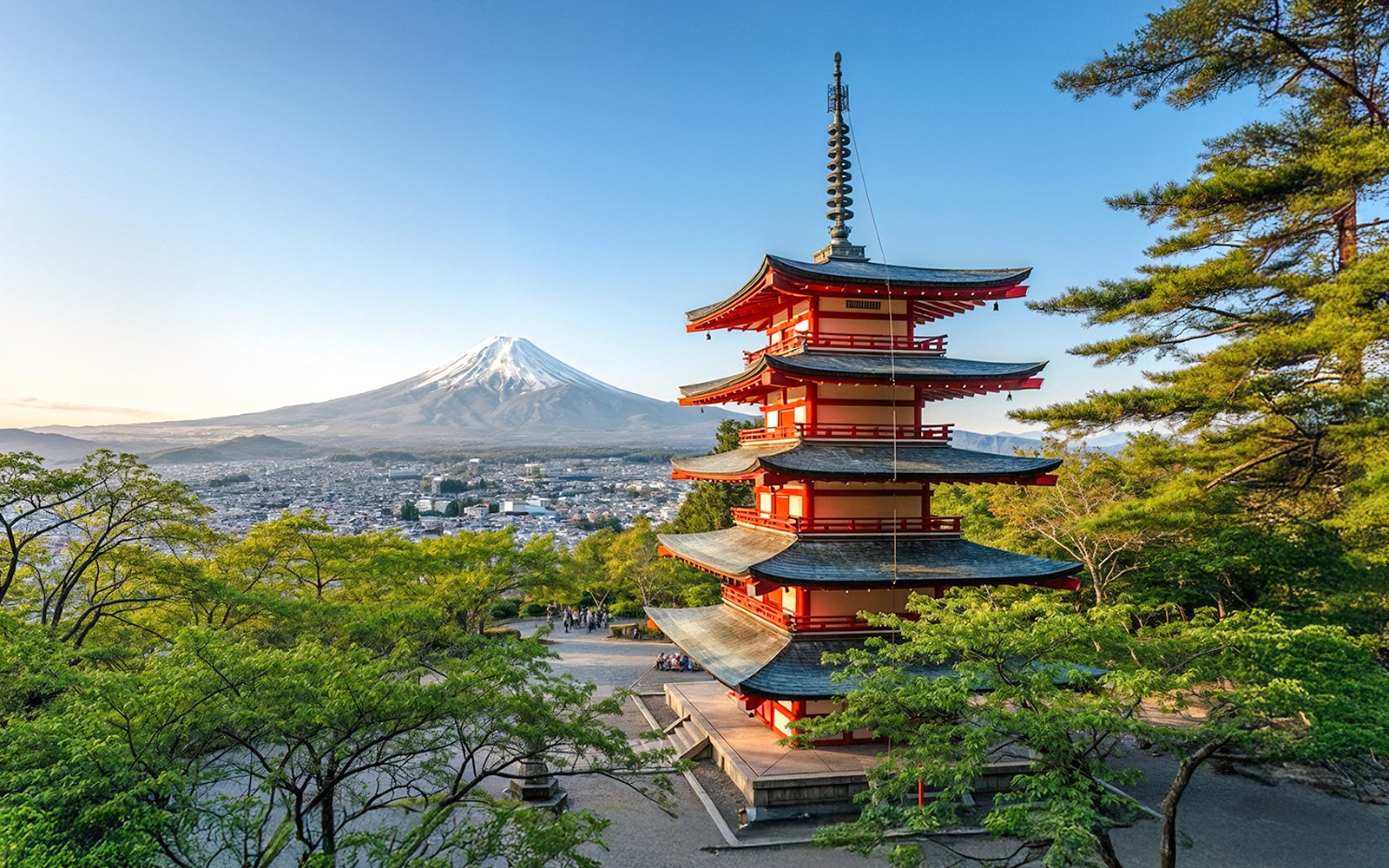 Mount Fuji Highlights Tour: Chureito Pagoda, Lake Kawaguchi, Oshino Hakkai, & More