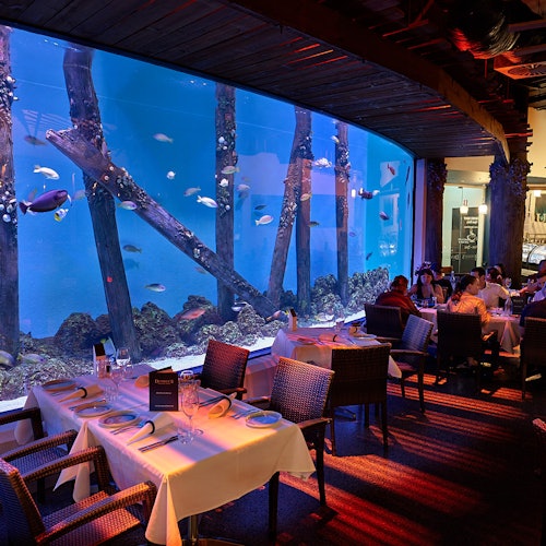 Cairns Aquarium by Twilight — gallery 1