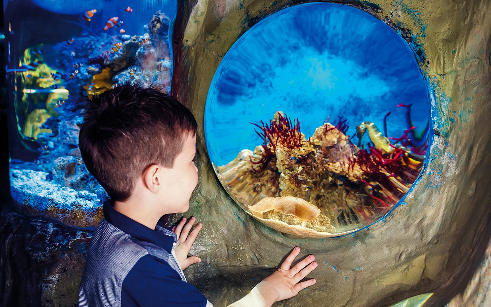 SEA LIFE London Aquarium: Anytime Entry Tickets — portrait