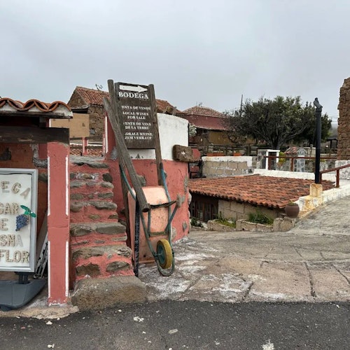 Tenerife: Banana Plantation & Winery Tour + Wine Tasting — gallery 1