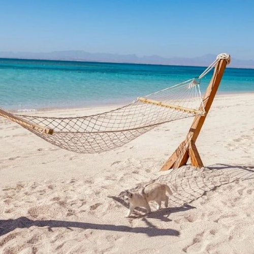 Hula Hula Island: Guided Cruise from Hurghada + Snorkeling + Lunch — gallery 2