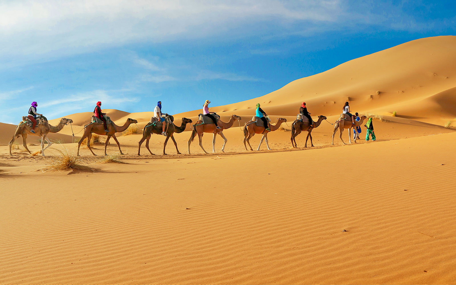 Morning Desert Safari with Dune Bashing & Sand Boarding