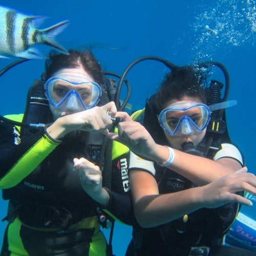 Hurghada: Guided Scuba Diving + Transfers + Lunch — gallery 1