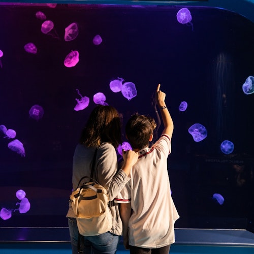 Georgia Aquarium: Fast Track Ticket — gallery 2
