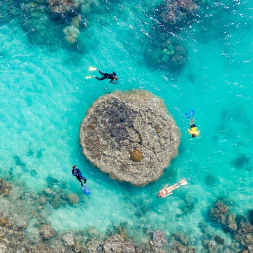 Whitsundays Ocean Rafting: Snorkel, Walk & Whitehaven Beach — gallery 4