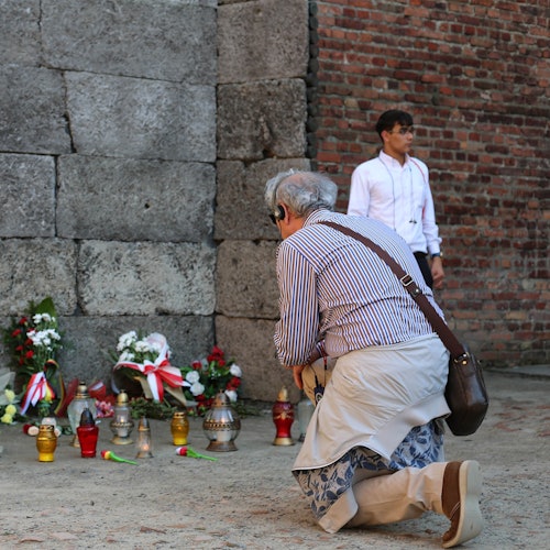 Auschwitz-Birkenau: Guided Tour + Transport + Lunch — gallery 1