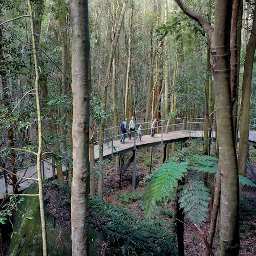 Blue Mountains: Scenic World Entry Ticket + Harbour Cruise from Sydney — gallery 3