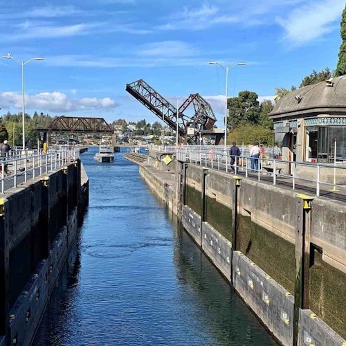 Seattle: One-Way Locks Cruise + Hop-on Hop-off Bus Tour — gallery 3