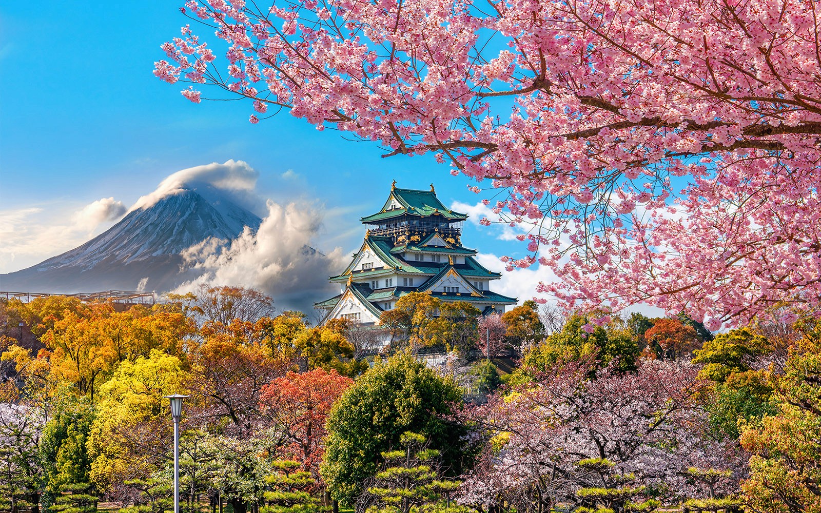 JR Pass: Unlimited Travel Across the Whole of Japan — gallery 1