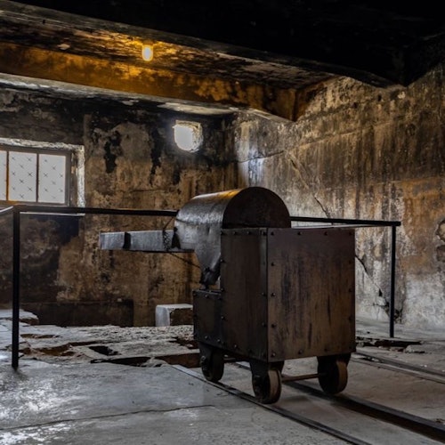 Auschwitz-Birkenau: Guided Tour — gallery 4