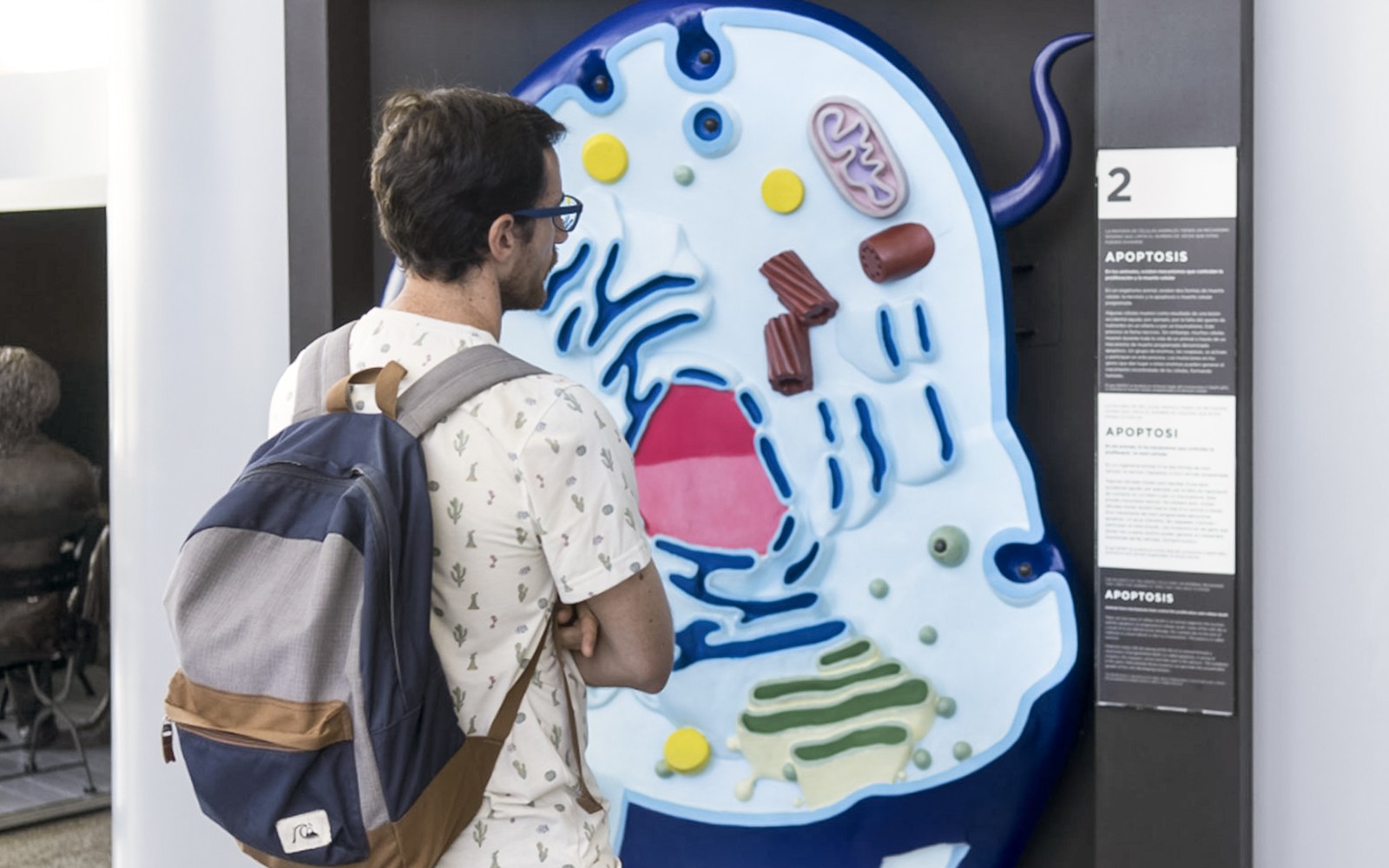 Combo: Oceanogràfic + Science Museum + Hemisfèric Tickets