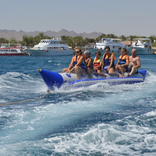 Dolphin House Hurghada: Guided Snorkeling Tour + Roundtrip Transfer + Lunch