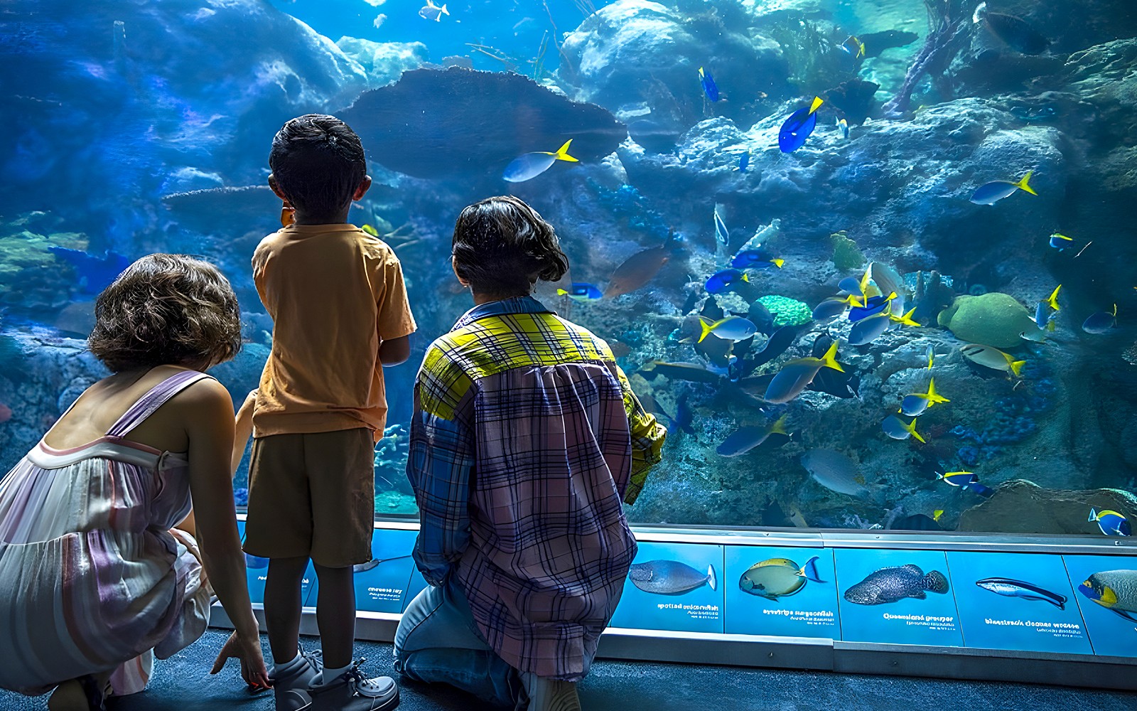 Aquarium of the Pacific Skip-the-Line Tickets