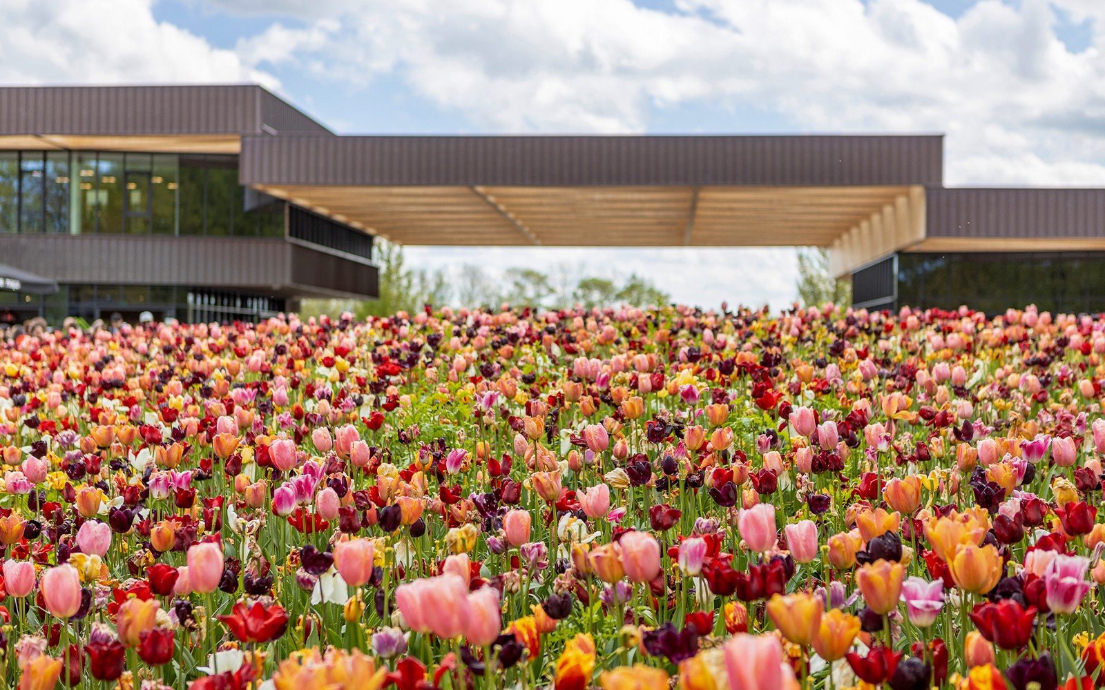 Keukenhof Parking Tickets

