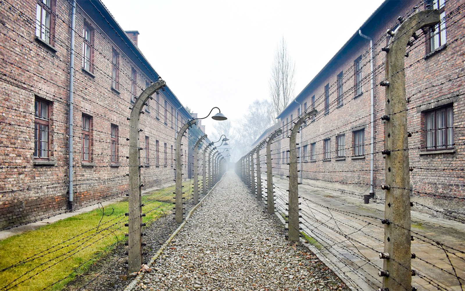  From Krakow: Auschwitz-Birkenau & Wieliczka Salt Mine Guided Tour

