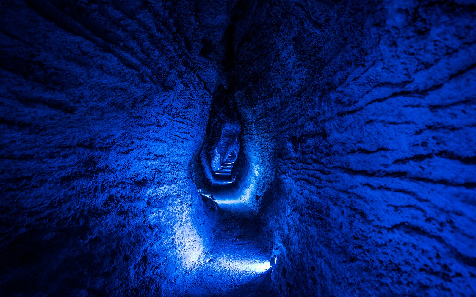 Ruakuri Cave Guided Tour
