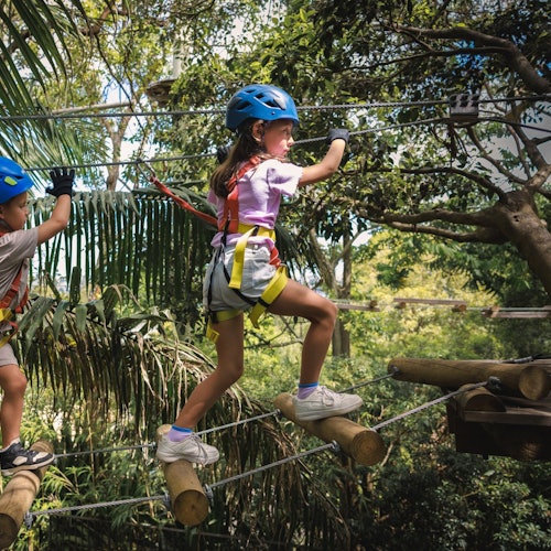 Treetops Adventure Canberra: Junior Ropes Course — gallery 1