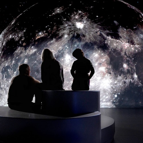 Illuminarium Atlanta: Entry Ticket