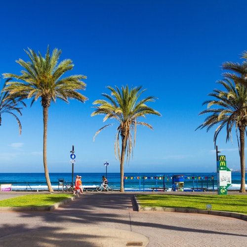 Tenerife: Guided Island Tour + Roundtrip Transfer — gallery 4