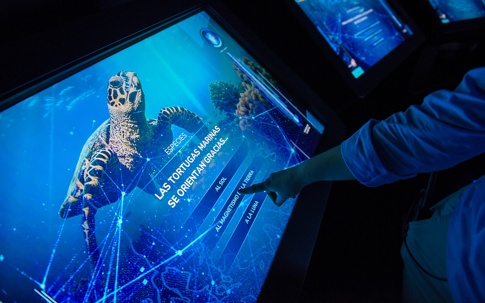 Atlantis Aquarium Madrid Tickets — gallery 3
