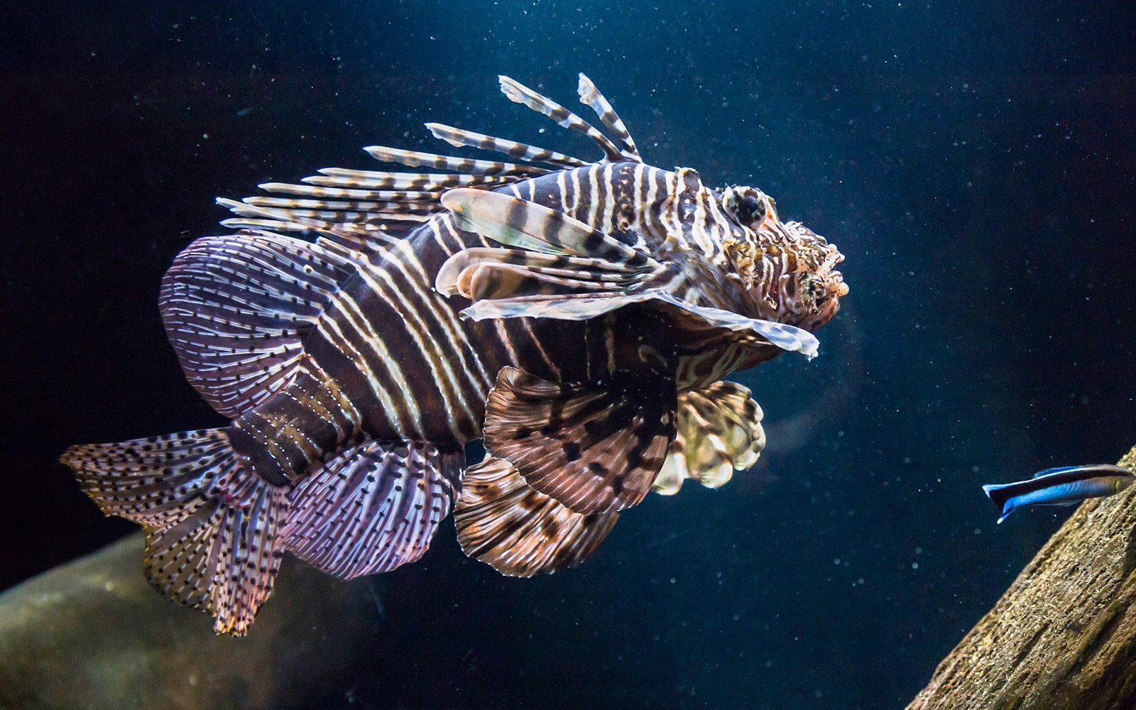SEA LIFE Munich Ticket — gallery 5